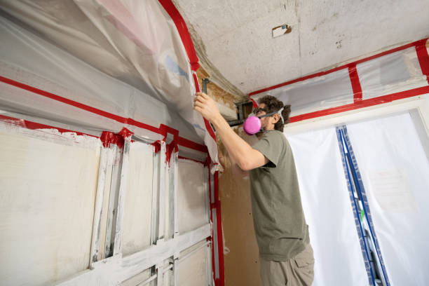 Best Residential Mold Inspection & Testing  in Kirkland, IL